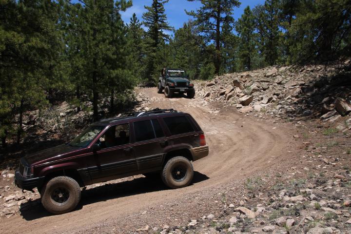 Pathfinder land rover