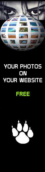 Photo Website