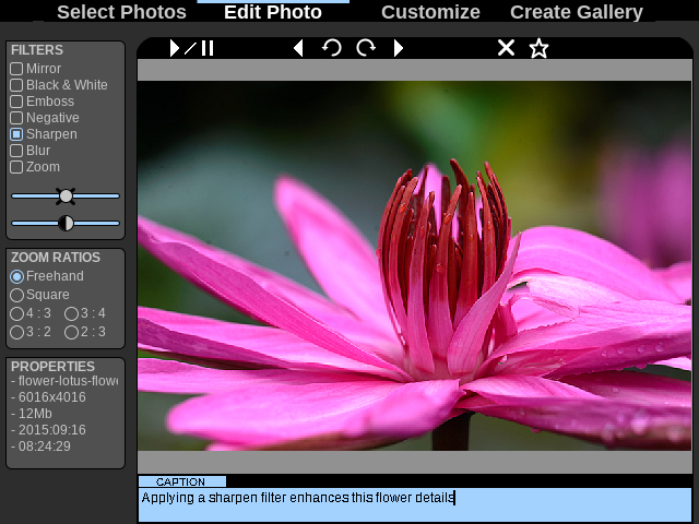 Add captions to photos.